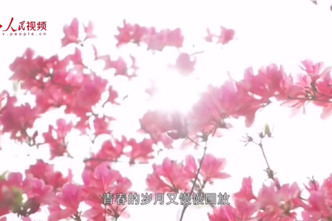 红色传家宝