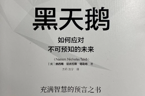 《黑天鹅》