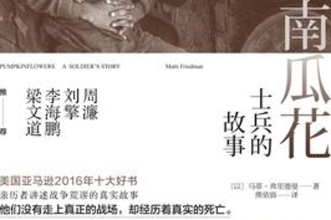 《南瓜花》