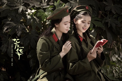 《芳华》