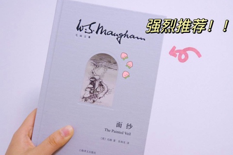 《面纱》