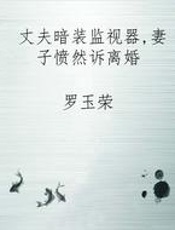 丈夫暗装监视器，妻子愤然诉离婚