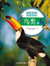 鸟类（下）