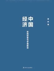 中国经济　实践探索与学理解说