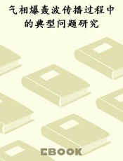 气相爆轰波传播过程中的典型问题研究