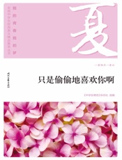 只是偷偷地喜欢你啊