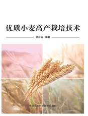 优质小麦高产栽培技术
