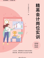 精英会计岗位实训