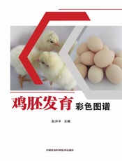鸡胚发育彩色图谱
