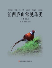 江西庐山常见鸟类.第Ⅱ卷