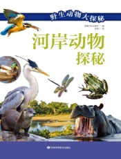 河岸动物探秘