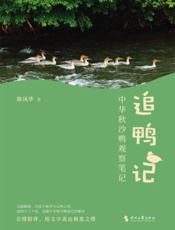 追鸭记——中华秋沙鸭观察笔记
