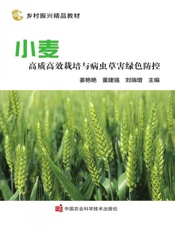 小麦高质高效栽培与病虫草害绿色防控