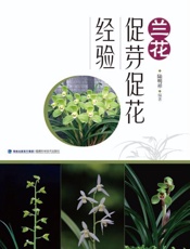 兰花促芽促花经验
