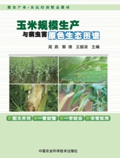 玉米规模生产与病虫害原色生态图谱