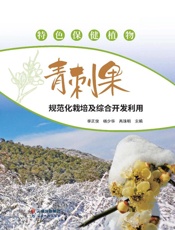 特色保健植物青刺果规范化栽培及综合开发利用