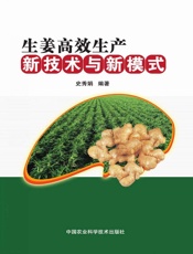 生姜高效生产新技术与新模式