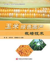 玉米绿色高产栽培技术