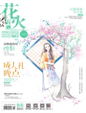 花火（2017年05月B）