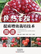 软籽石榴提质增效栽培技术图谱