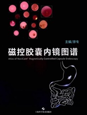 磁控胶囊内镜图谱