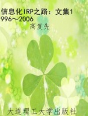 信息化IRP之路：文集1996～2006