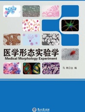 医学形态实验学