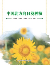 中国北方向日葵种植