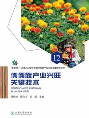傈僳族产业兴旺关键技术