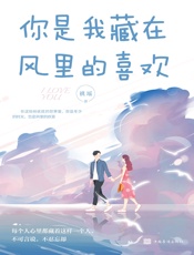 你是我藏在风里的喜欢