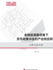 金融加速器视角下货币政策冲击的产出效应研究：以欧元区为例
