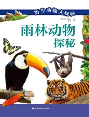 雨林动物探秘