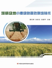 塔额盆地小麦绿色高效栽培技术