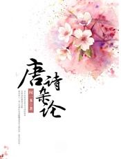 唐诗杂论