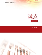 试点