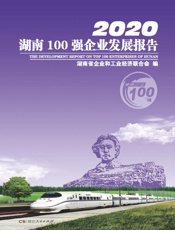 2020湖南100强企业发展报告