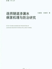 连拱隧道渗漏水病害机理与防治研究
