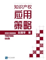 知识产权应用策略
