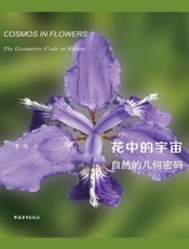 花中的宇宙：自然的几何密码