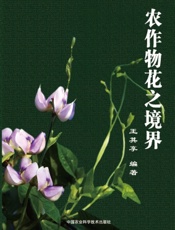 农作物花之境界