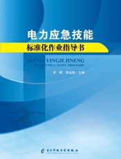 电力应急技能标准化作业指导书