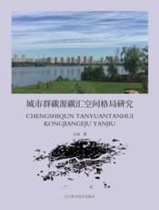 城市群碳源碳汇空间格局研究