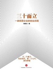 三十而立：一家民营企业的创业历程 - 陈斯文