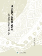 城镇化与农村社会转型：云南柿花箐苗族村落田野考察