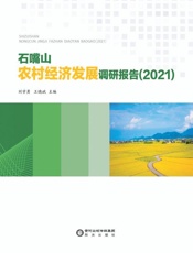 石嘴山农村经济发展调研报告(2021)