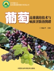 葡萄高效栽培技术与病虫害防治图谱