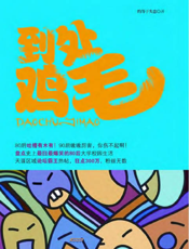 到处鸡毛