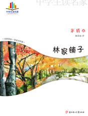 林家铺子