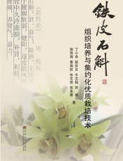 铁皮石斛组织培养与集约化优质栽培技术