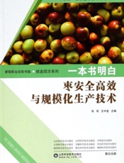 一本书明白枣安全高效与规模化生产技术